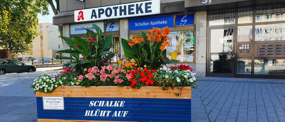 Großer bunt bepflanzter Blumenkübel mit der Aufschrift 'Schalke blüht auf'